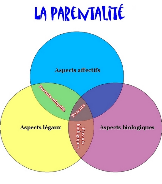 découvrez la définition de la parentalité, un concept clé qui englobe le rôle et les responsabilités des parents dans l'éducation et le développement de leurs enfants. explorez les différents aspects de la parentalité au travers des approches et des défis rencontrés par les parents aujourd'hui.